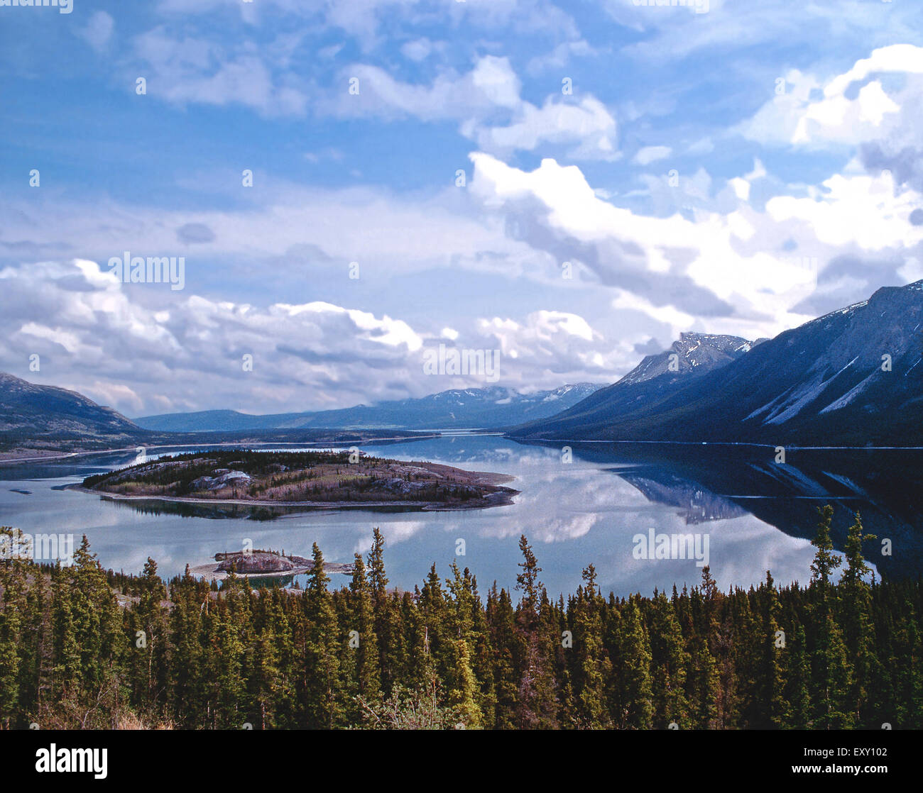 Bove Insel, Tagish Lake Yukon Stockfoto