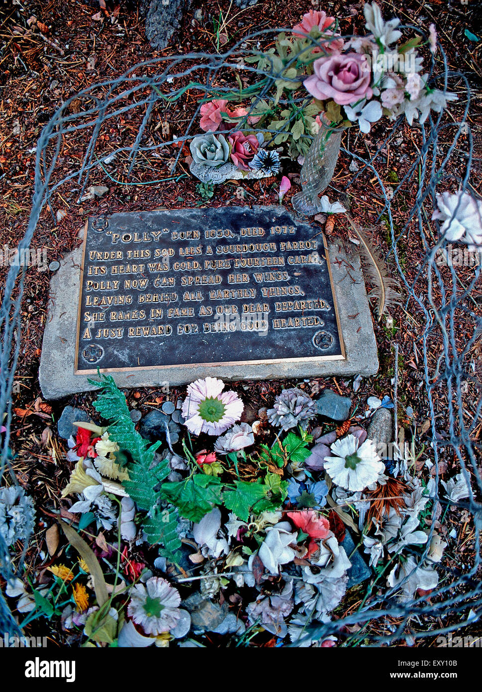 Das Grab von Polly Papagei, Carcross Friedhof, Yukon Stockfoto