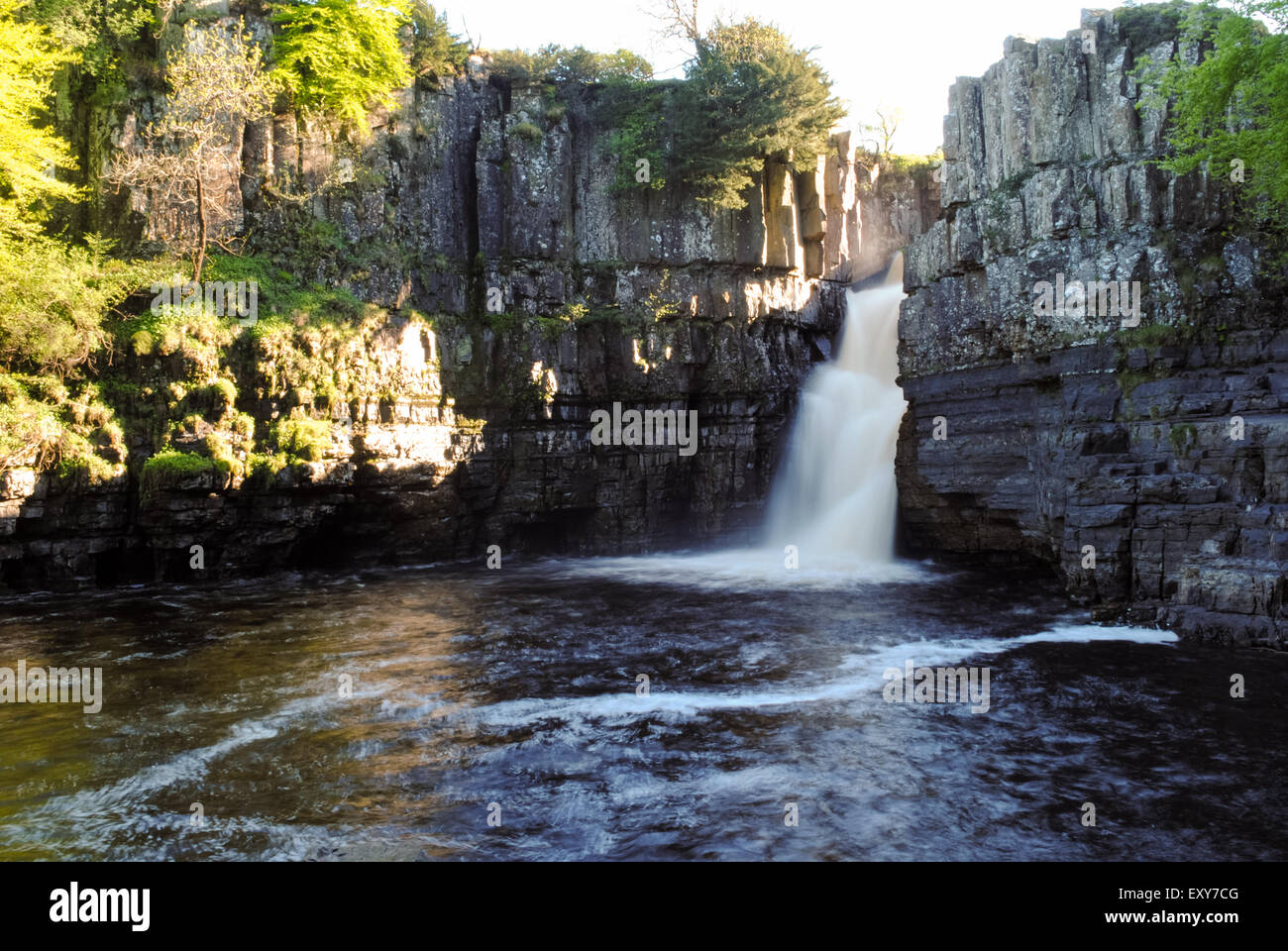 Hohe Kraft Wasserfall im Wald-in-Teesdale, Durham Stockfoto