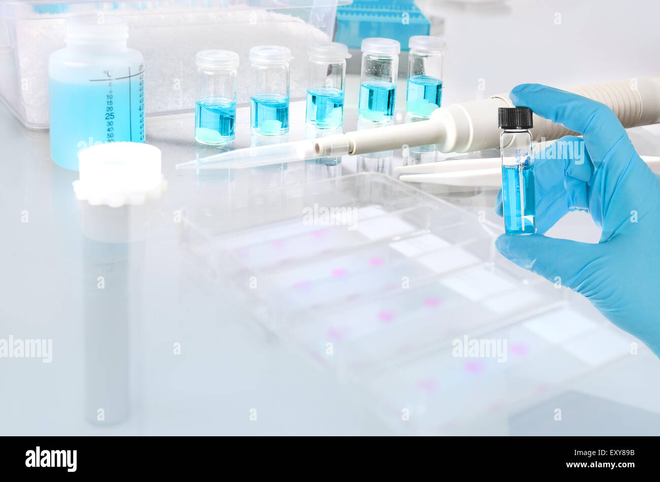 Wissenschaftlichen oder medizinischen Hintergrund mit Gewebeproben für Histologie und Mikroskopie, Platz für Ihren Text Stockfoto