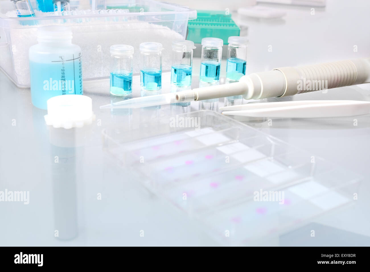 Wissenschaftlichen oder medizinischen Hintergrund mit Fixierung von Gewebeproben für Histologie und Mikroskopie, Platz für Ihren Text Stockfoto
