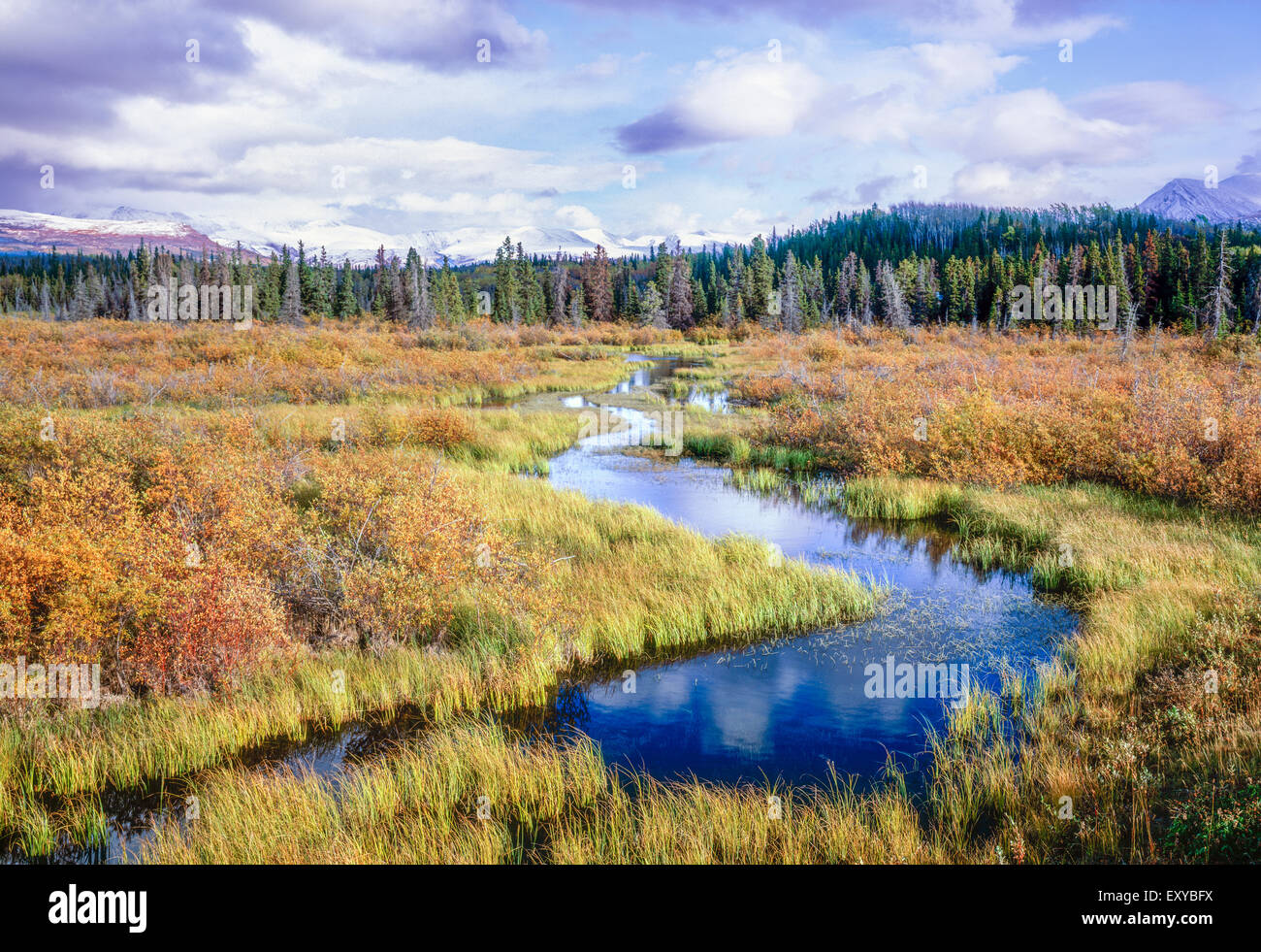 Fox Creek und die Yukon-Landschaft. Bild entnommen der Haines Highway 3 in The Yukonterritorium, Kanada. Stockfoto