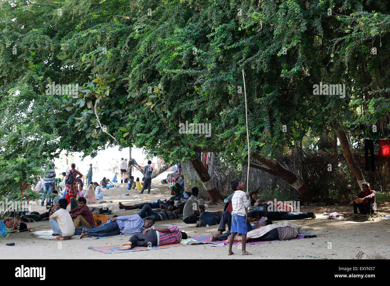 Indischer Junge versucht, Früchte von einem Baum, während Menschen schlafen darunter Girgaum Chowpatty Beach in Mumbai, Indien zu entfernen. Stockfoto