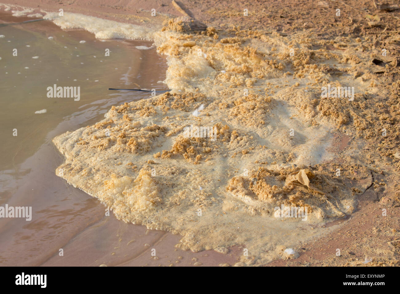 Verschmutztes Flusswasser mit schmutzigen Schaum (Verschmutzung) Stockfoto