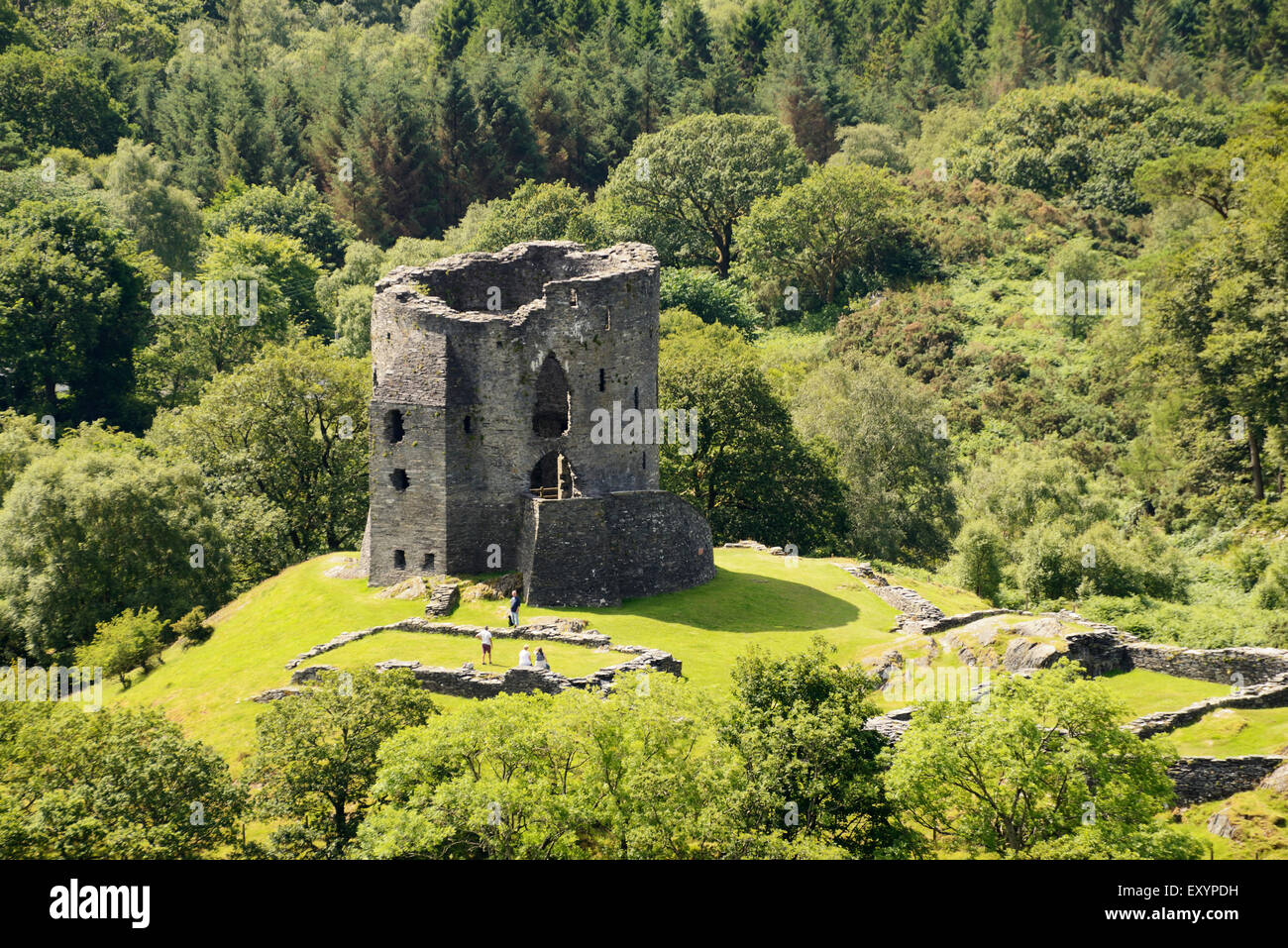 Dolbadarn Burg in Llanberis, Snowdonia. Stockfoto