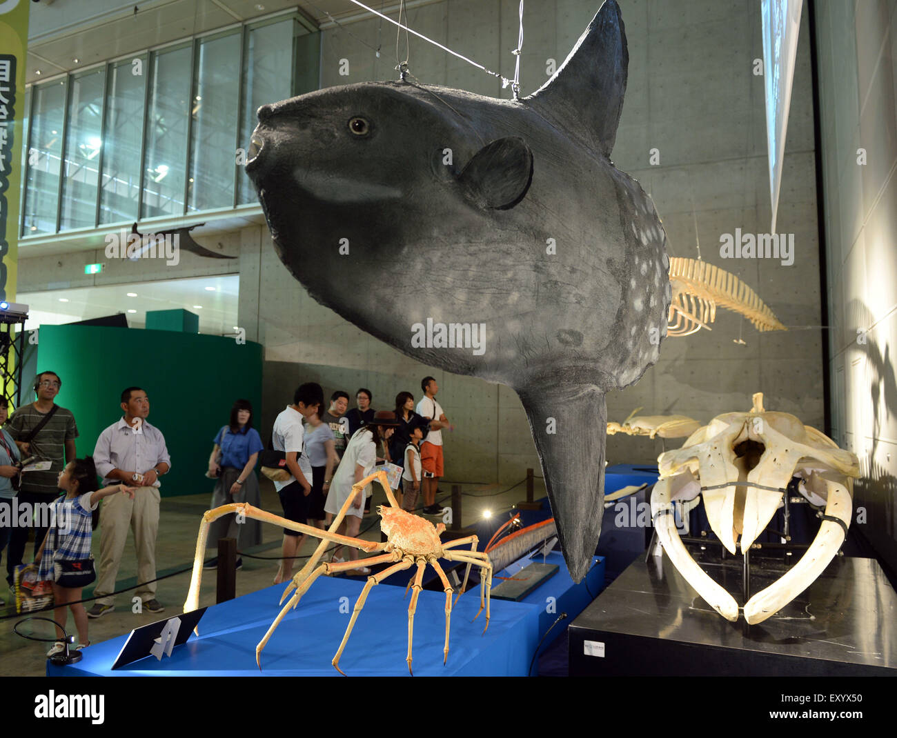 Tokio, Japan. 18. Juli 2015. Menschen sehen Repliken der marine Tierpräparate zu "Mega Dinosaurier Ausstellung 2015" in Chiba, Japan, 18. Juli 2015. © Ma Ping/Xinhua/Alamy Live-Nachrichten Stockfoto