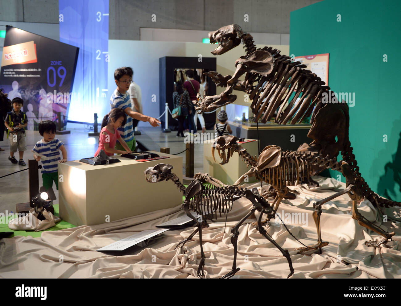 Tokio, Japan. 18. Juli 2015. Leute betrachten Nachbildungen von Dinosaurier-Skelett Fossilien während der "Mega Dinosaurier Ausstellung 2015" in Chiba, Japan, 18. Juli 2015. © Ma Ping/Xinhua/Alamy Live-Nachrichten Stockfoto