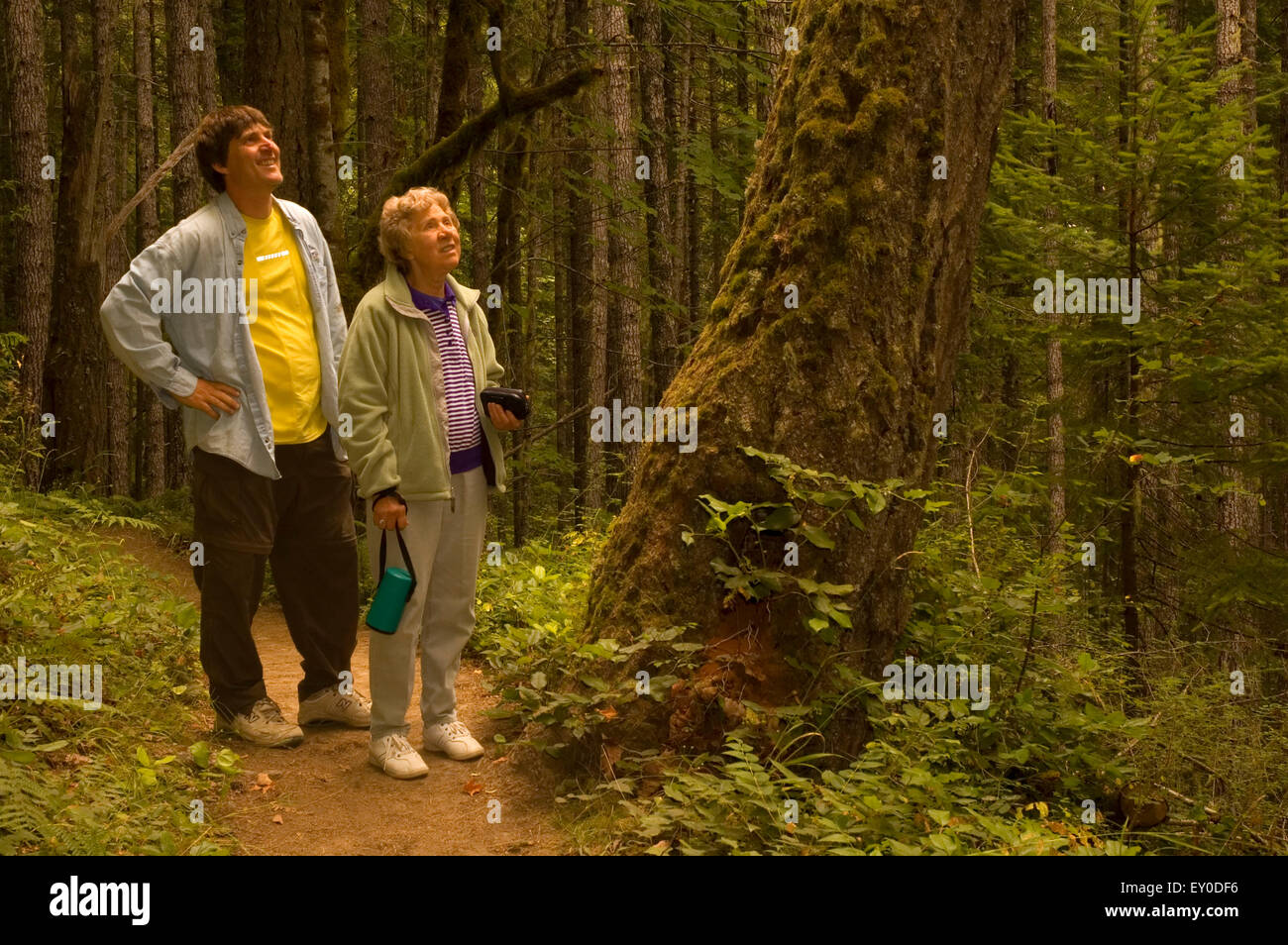 Elwha River Trail, Olympic Nationalpark, Washington Stockfoto