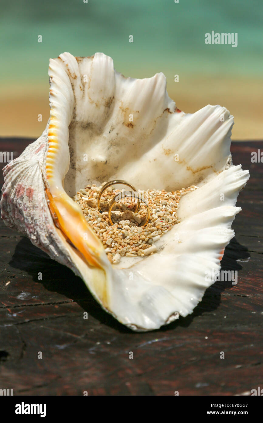 Zwei Handformen in den Sand. Jedes Blatt hat einen goldenen Ehering am vierten Finger. Stockfoto
