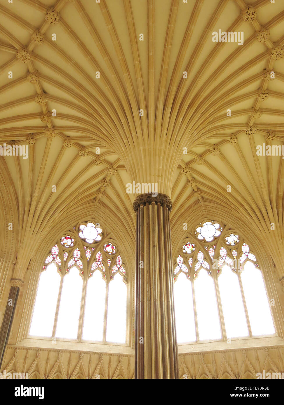 Die dekorativen Fan gewölbten Decke der Kapitelsaal in Wells Cathedral, Somerset, England, UK Stockfoto