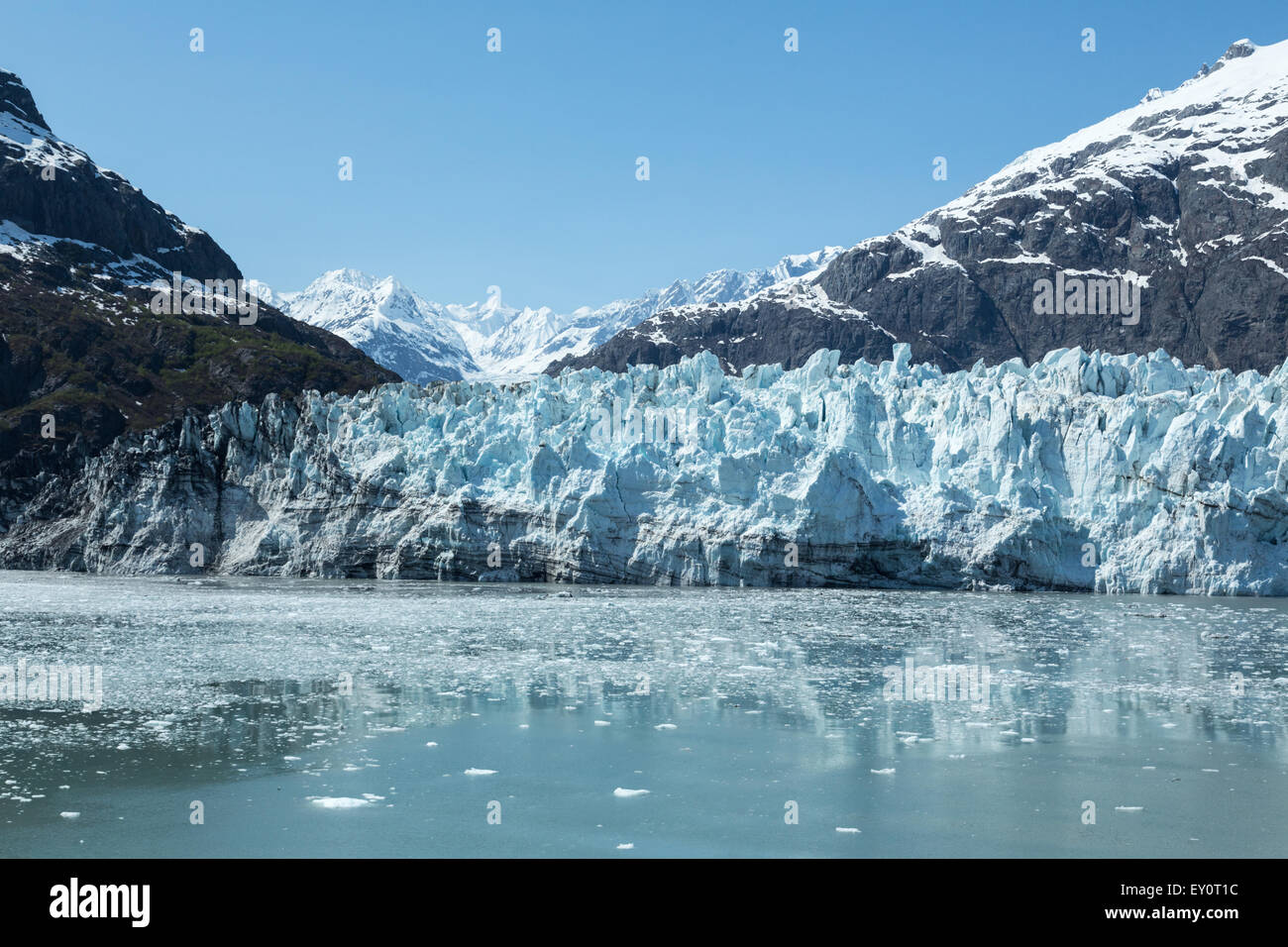 Reflexionen eines Gletschers in Alaska Glacier Bay National Park and Preserve Stockfoto