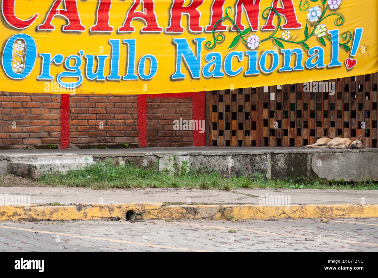 Straßenhund schlafen unter Catarina Nationalstolz Banner, Nicaragua Stockfoto