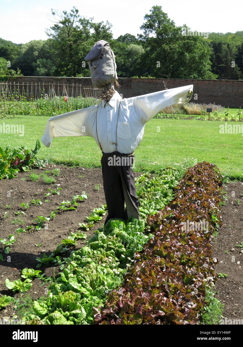 Eine Vogelscheuche im Küchengarten auf Harewood House, Nr Leeds, Yorkshire, Großbritannien Stockfoto