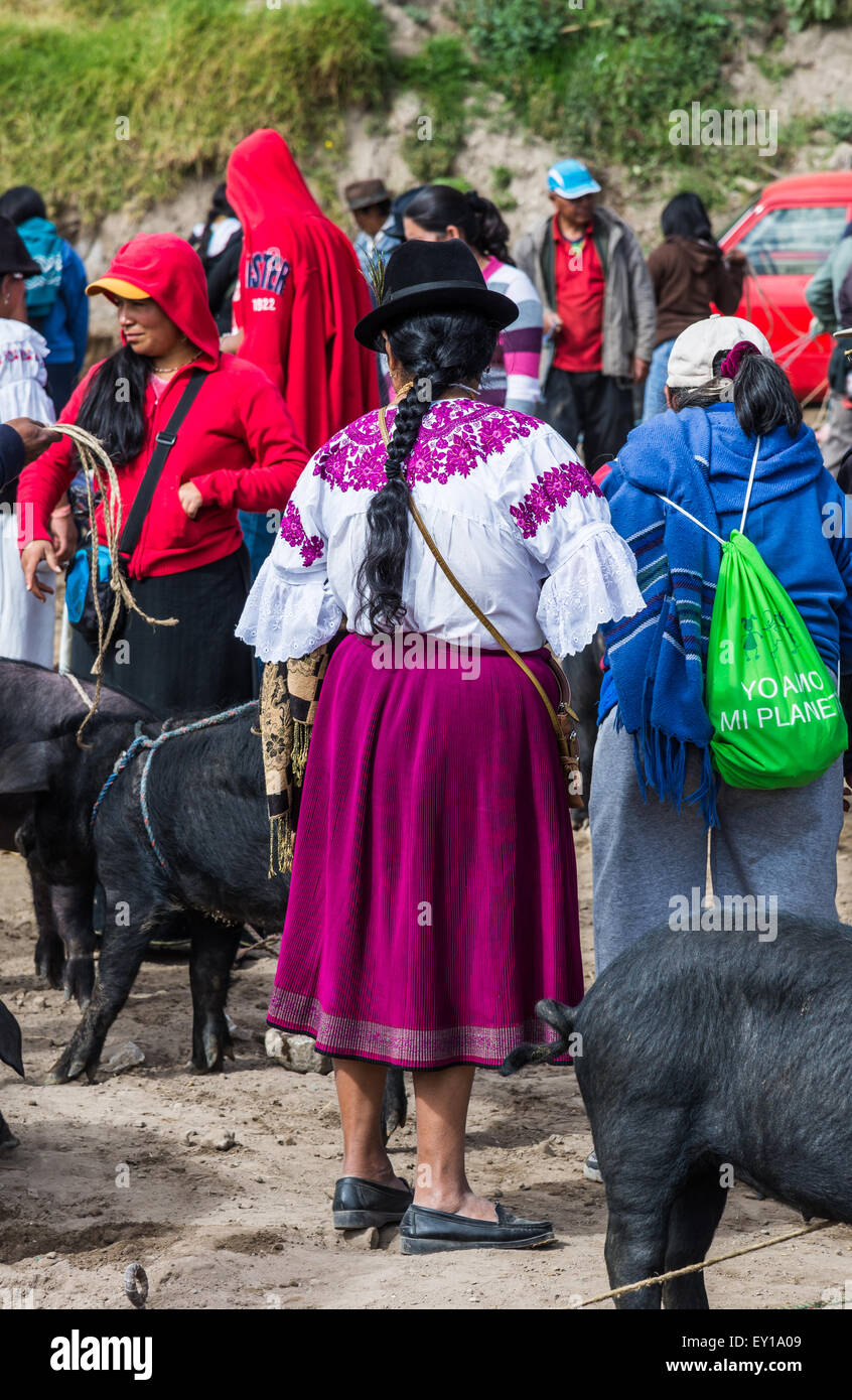 Eine einheimische Frau in traditioneller Kleidung am Viehmarkt. Otavalo, Ecuador. Stockfoto