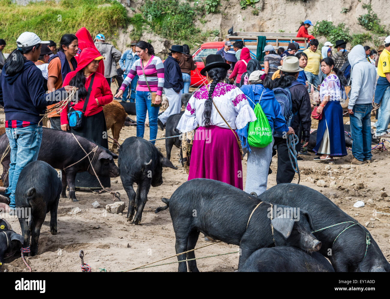 Eine einheimische Frau in traditioneller Kleidung am Viehmarkt. Otavalo, Ecuador. Stockfoto
