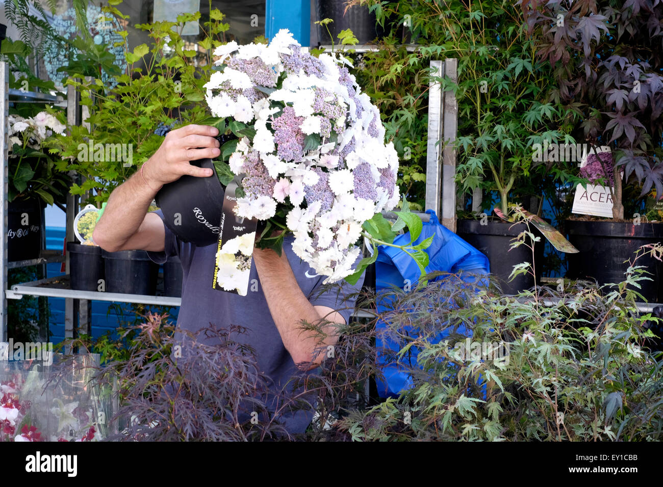 Ein Verkäufer hält einen Topf mit Blumen in Columbia Road market Stockfoto