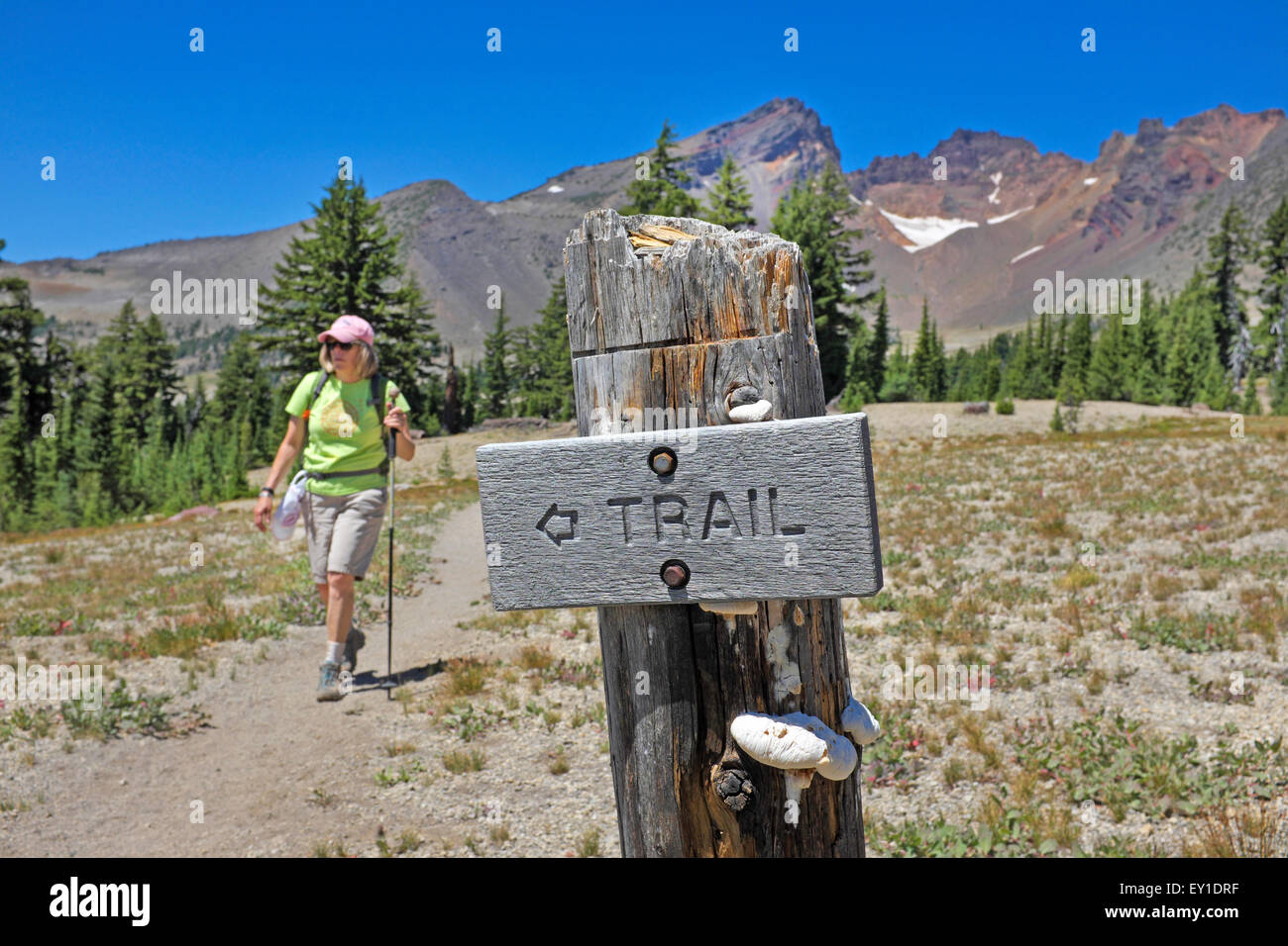 Ein Wanderer in der Nähe ein Trail-Schild neben gebrochen oben Spitze in Central Oregon Cascade Mountains in der Nähe von Bend, Oregon Stockfoto