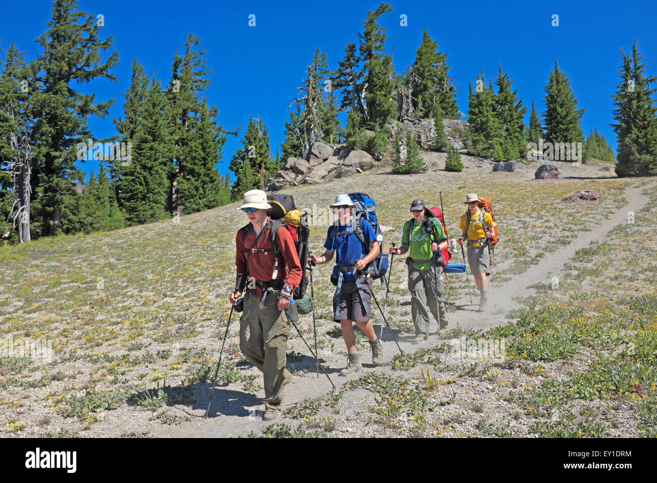 Vier männliche College-Studenten in den alpinen Regionen von Oregon Cascades, Rucksackreisen in der Nähe von Bend, Oregon Stockfoto