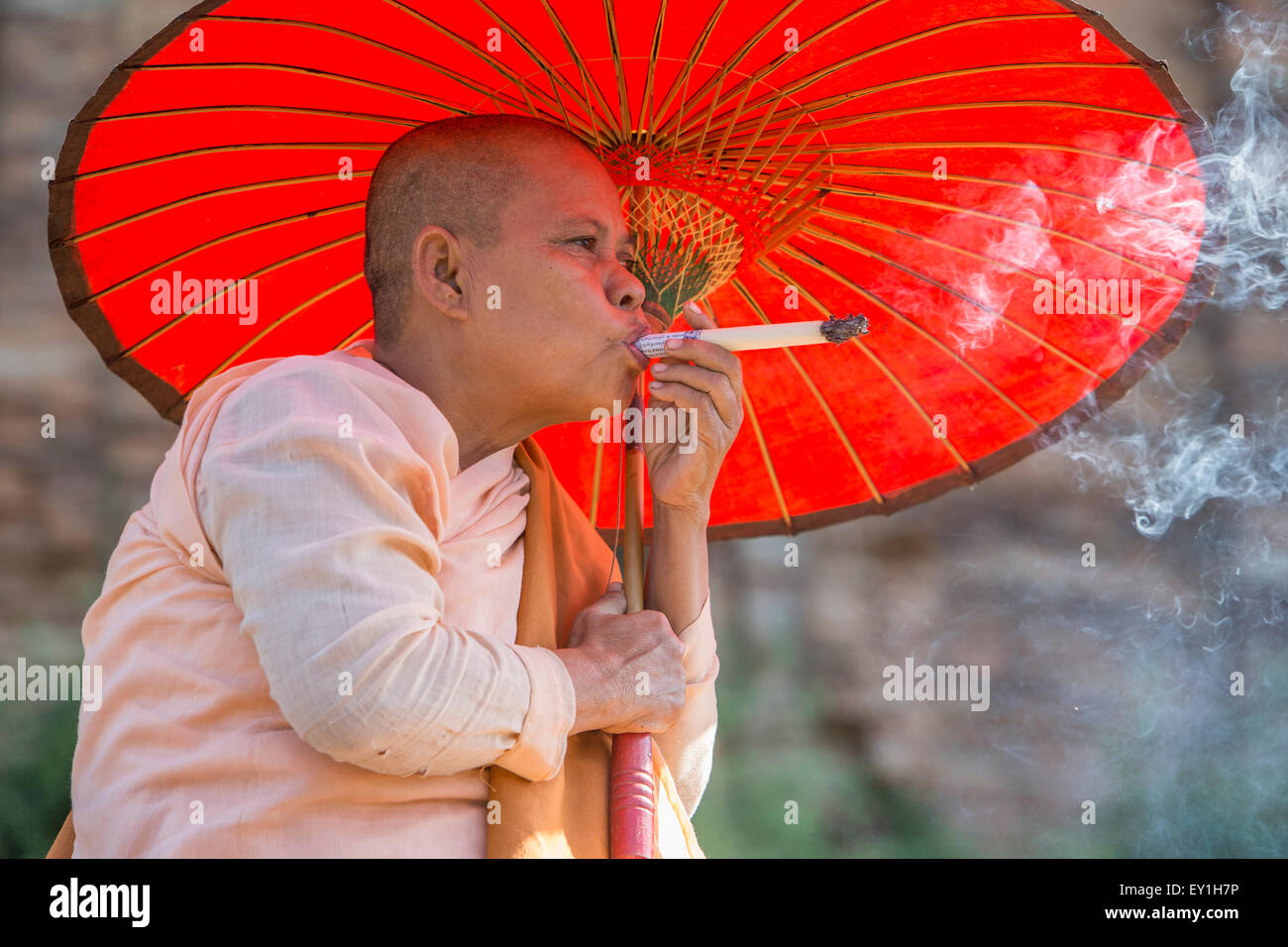Nonne Rauchen whacking weißen Cheroot, Myanmar Stockfoto