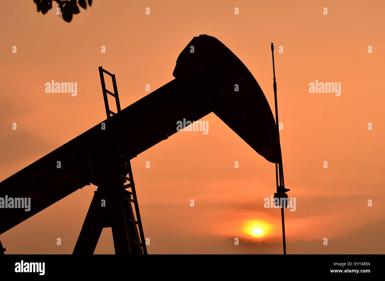Bohrschwengels Pumpen Rohöl aus Ölquelle Stockfoto