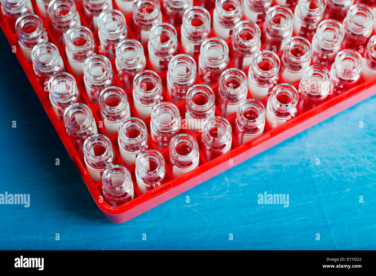 Reagenzgläser im Labor rack Stockfoto