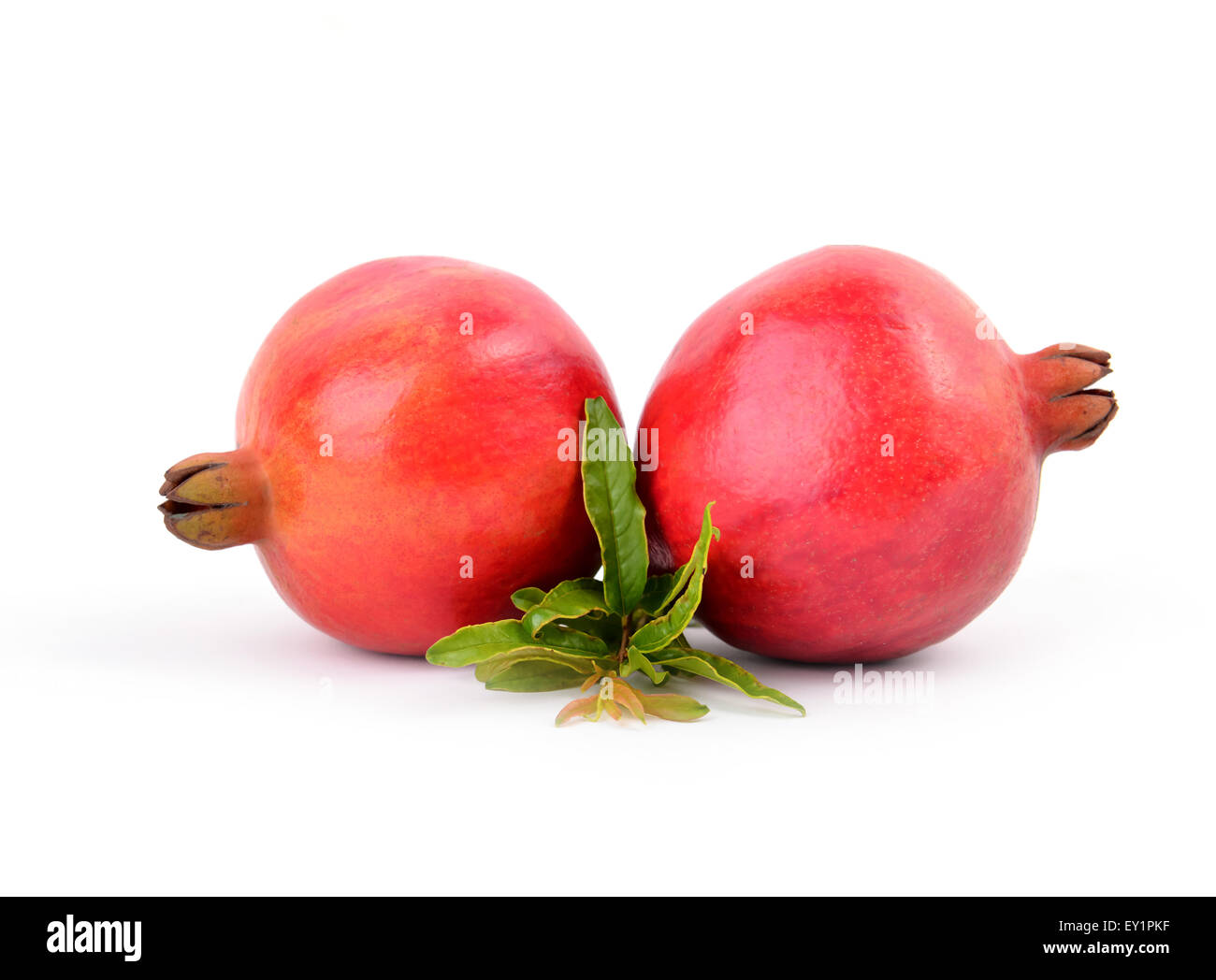 Granatapfel isoliert auf weißem Hintergrund Stockfoto