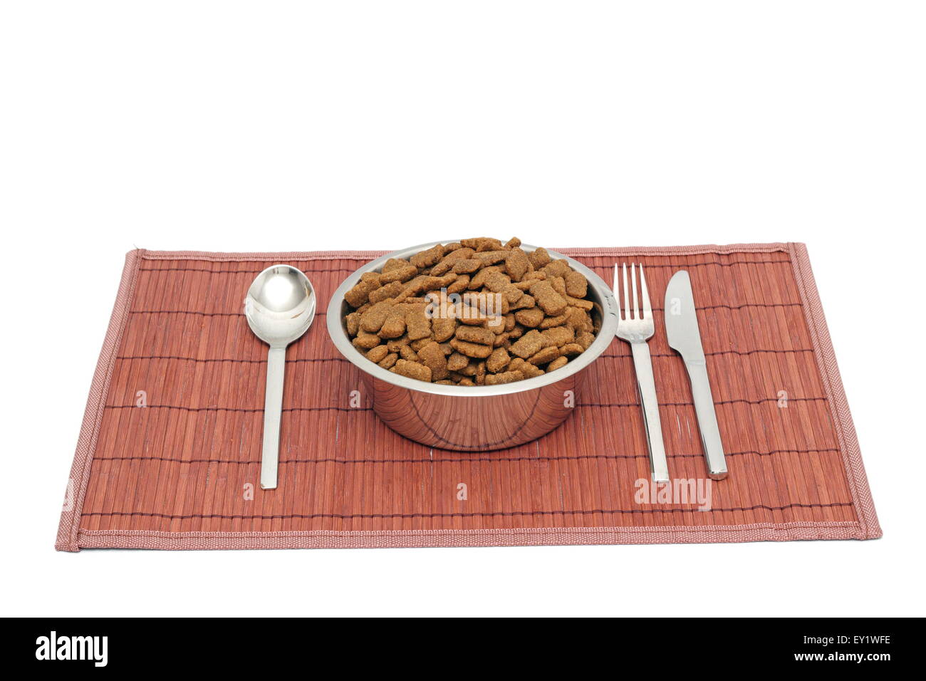 Konzept der Haustier Mahlzeit serviert auf einer Metallschale Stockfoto