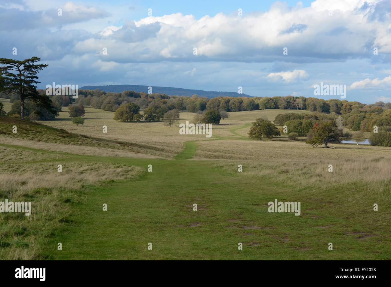 Hirschspuren Stockfotos und -bilder Kaufen - Seite 2 - Alamy
