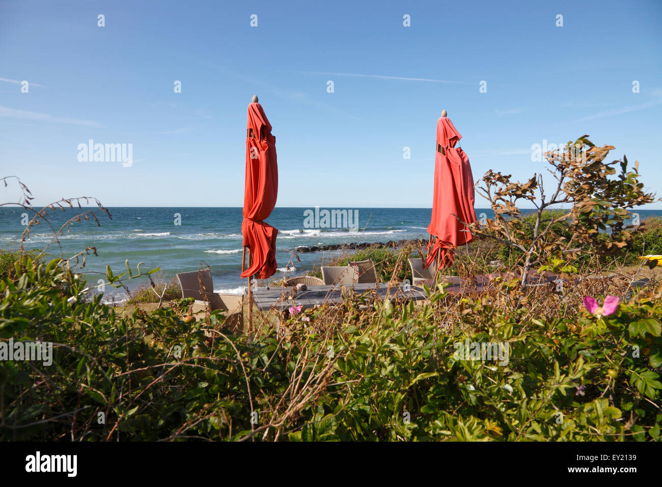 Das Fischerdorf Kikhavn. Blick auf das Kattegat Meer vorbei an Heckenrosen, Strand Terrassenmöbel und zwei rote Sonnenschirme an einem windigen Tag Stockfoto