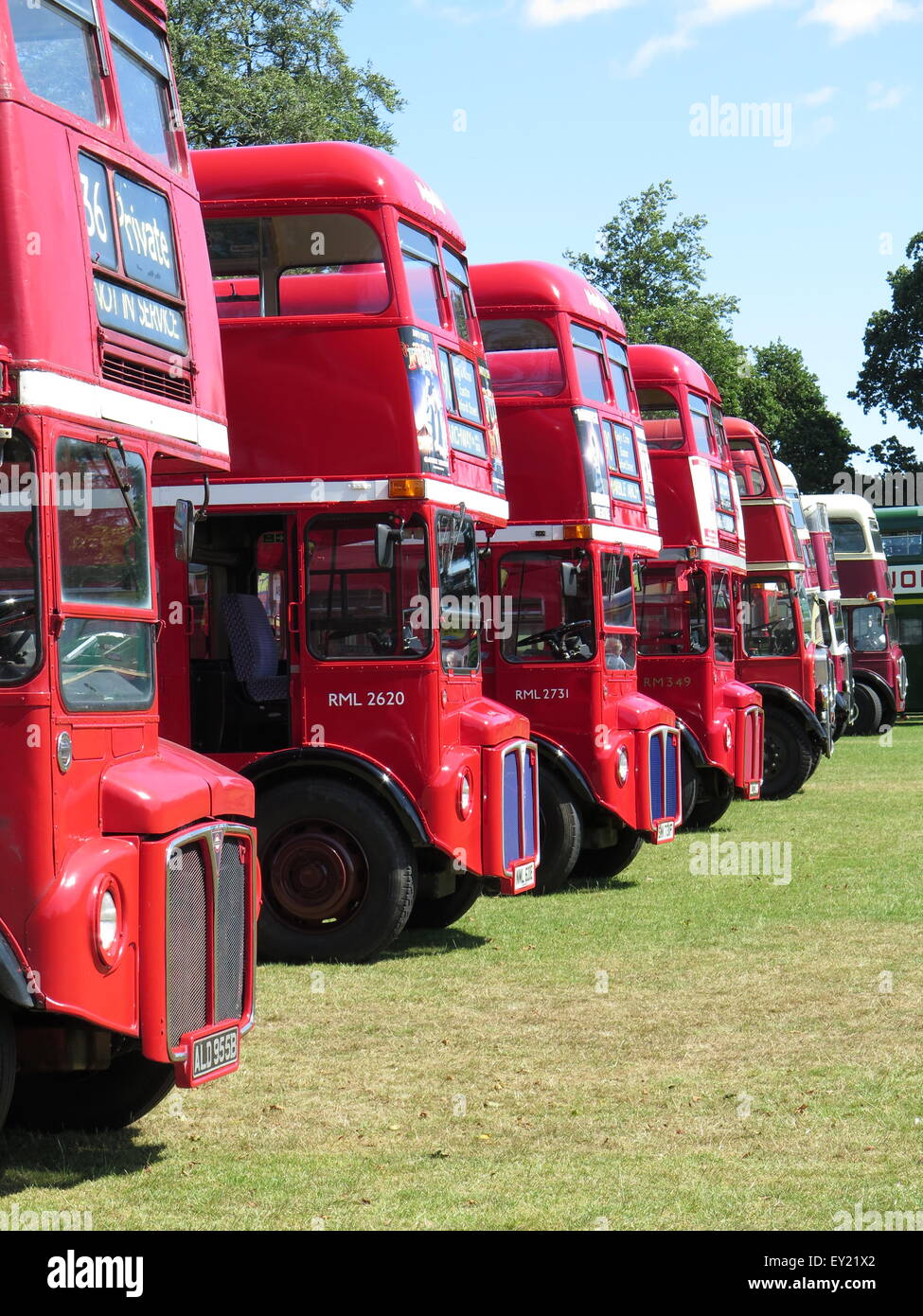 Routemaster-Busse bei Bus-Rallye. Stockfoto