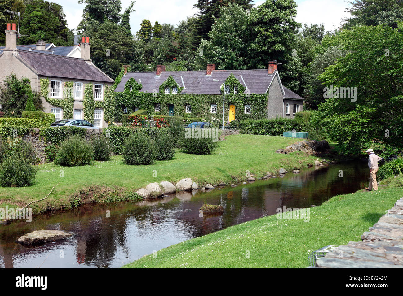 Mann beobachtet Forellen im Fluss Kilbroney in Rostrevor County Down. Stockfoto