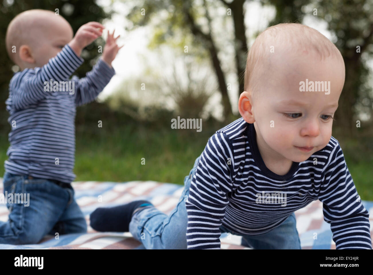 Baby Zwillinge spielen auf der Picknickdecke im Feld Stockfoto
