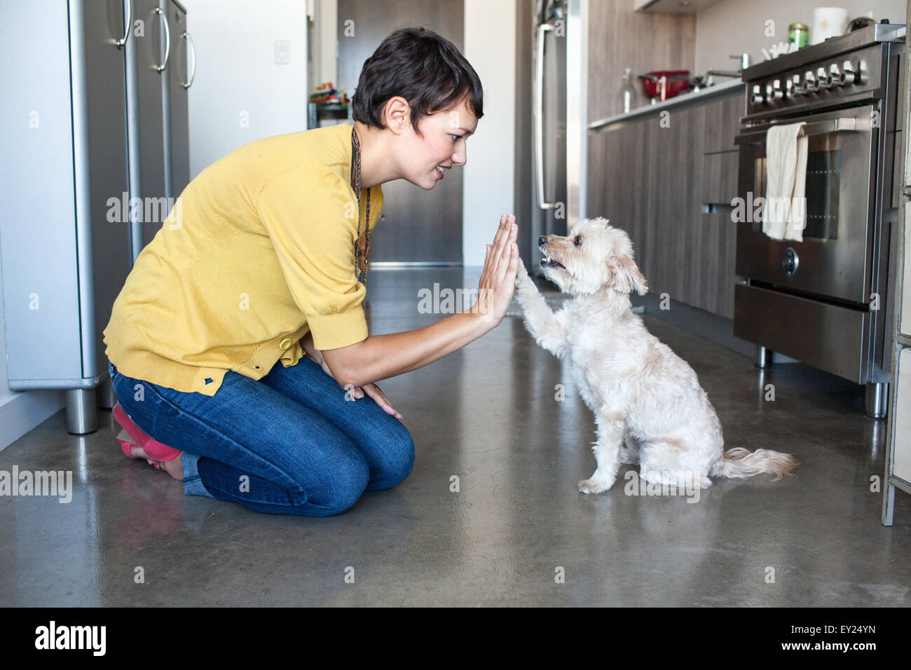 Junge Frau mit Hund ein high Five in Küche Stockfoto