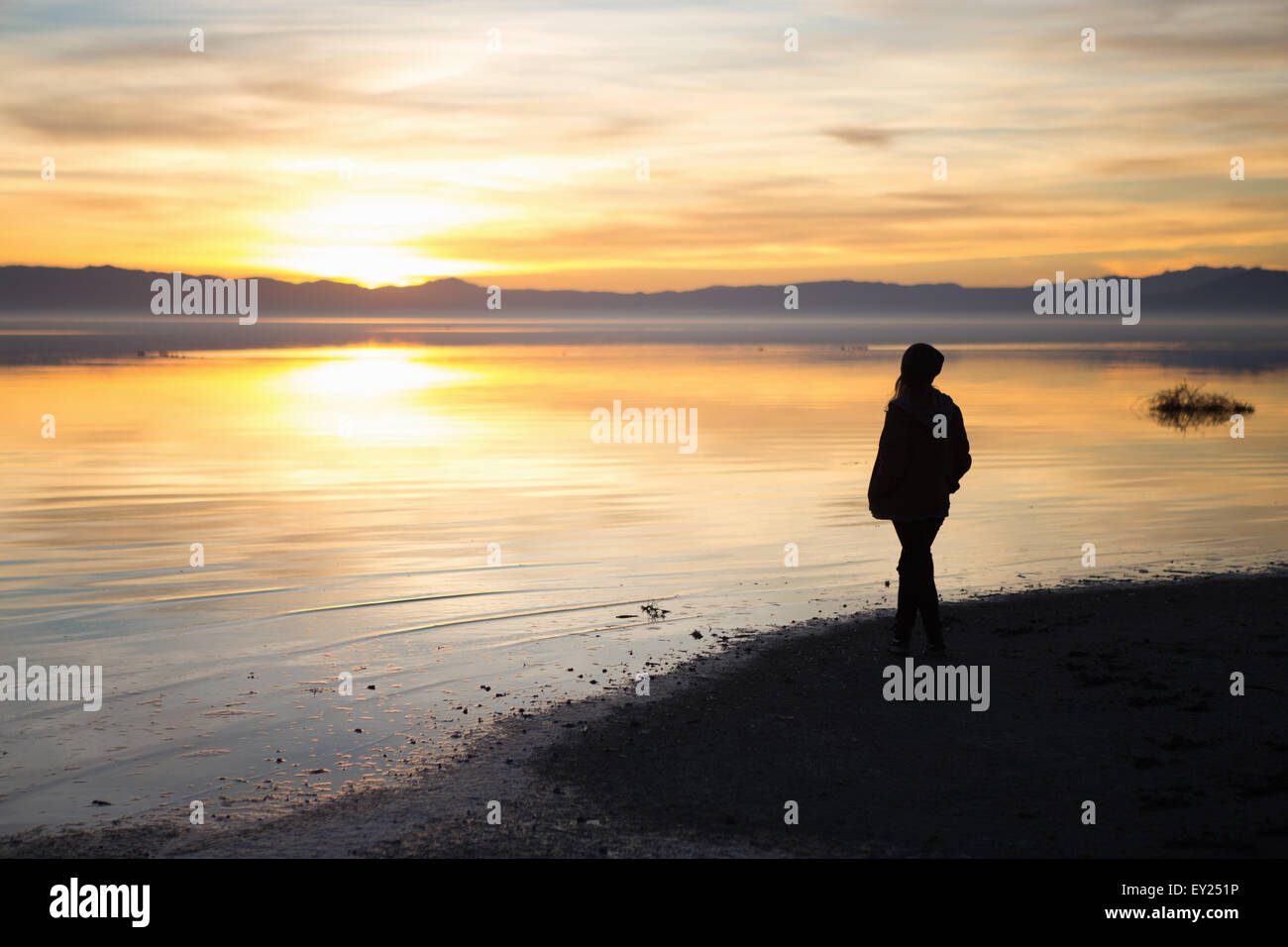 Junge Frau am Ufer stehend, beobachten Sonnenuntergang, Rückansicht Stockfoto