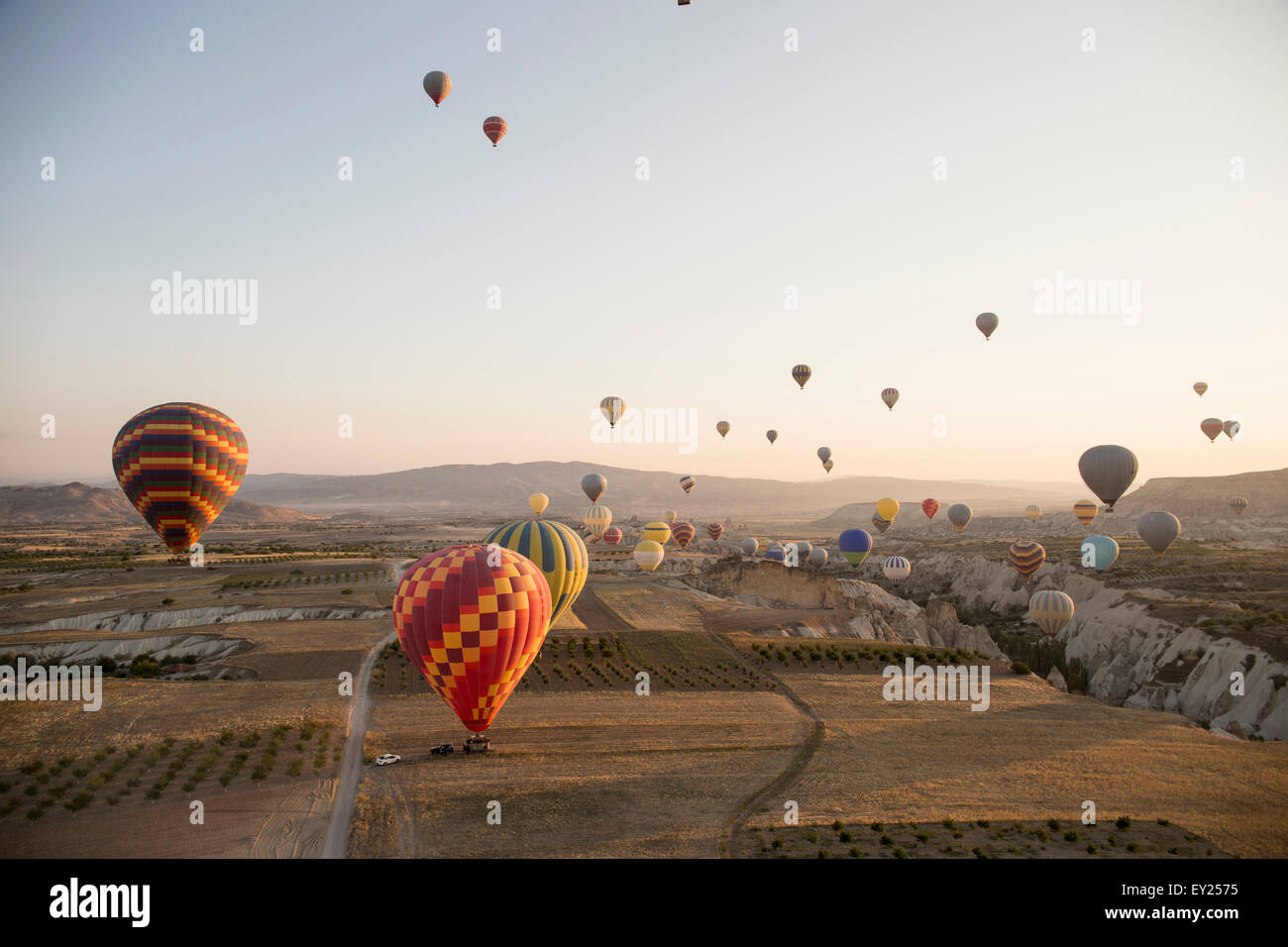 Große Gruppe von Heißluftballons über dem Feld Landschaft, Kappadokien, Anatolien, Türkei Stockfoto