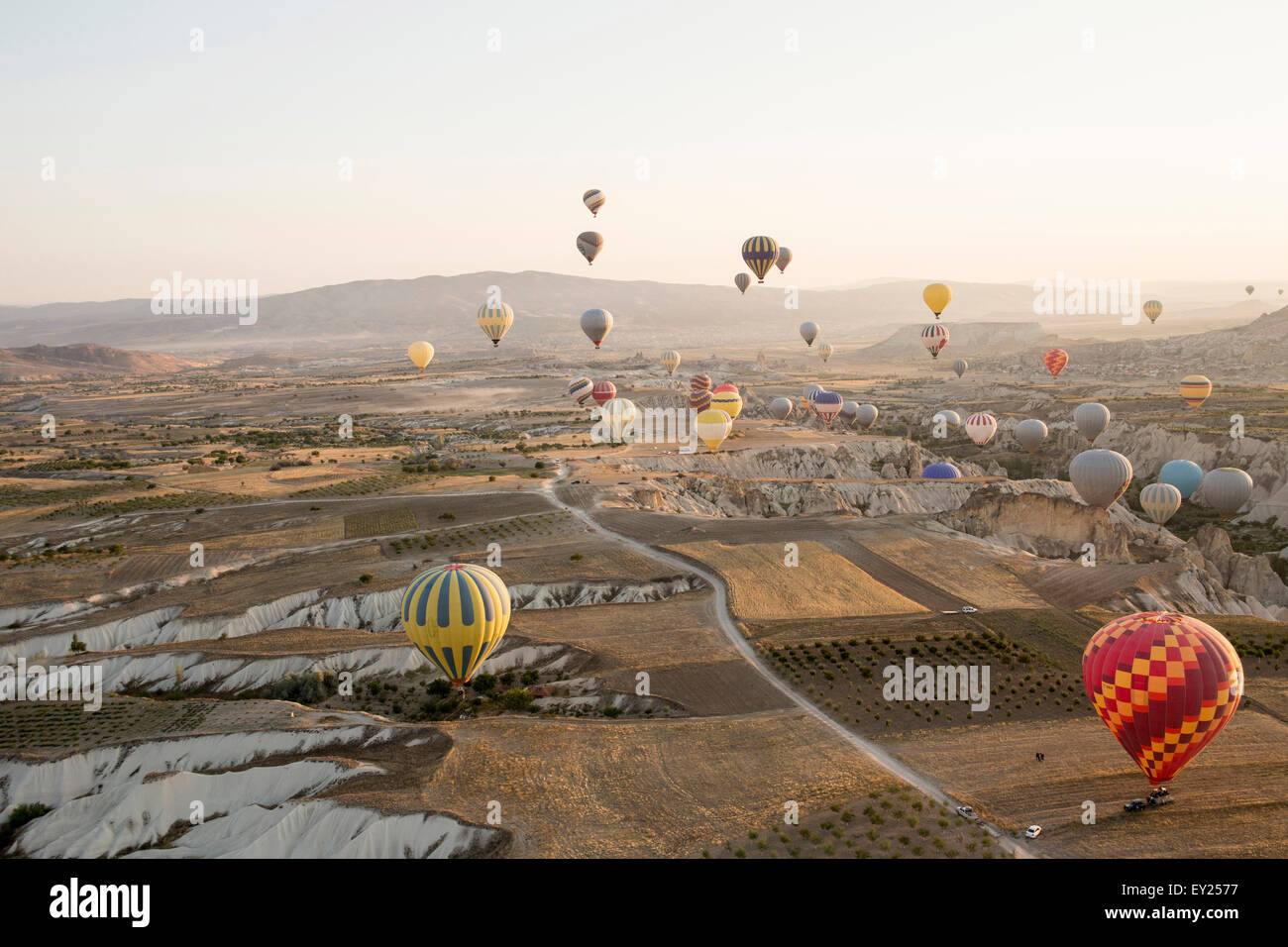 Große Gruppe von Heißluftballons schwebenden Feld Landschaft, Kappadokien, Anatolien, Türkei Stockfoto