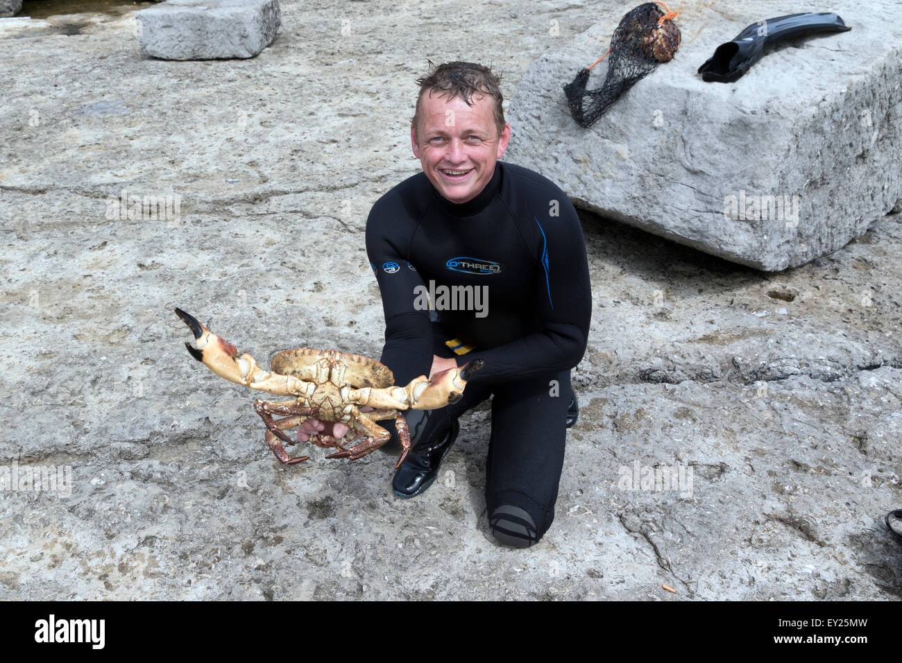 Ein Taucher halten eine große Krabbe gefangen unter Preikestolen bei Portland Bill Stockfoto