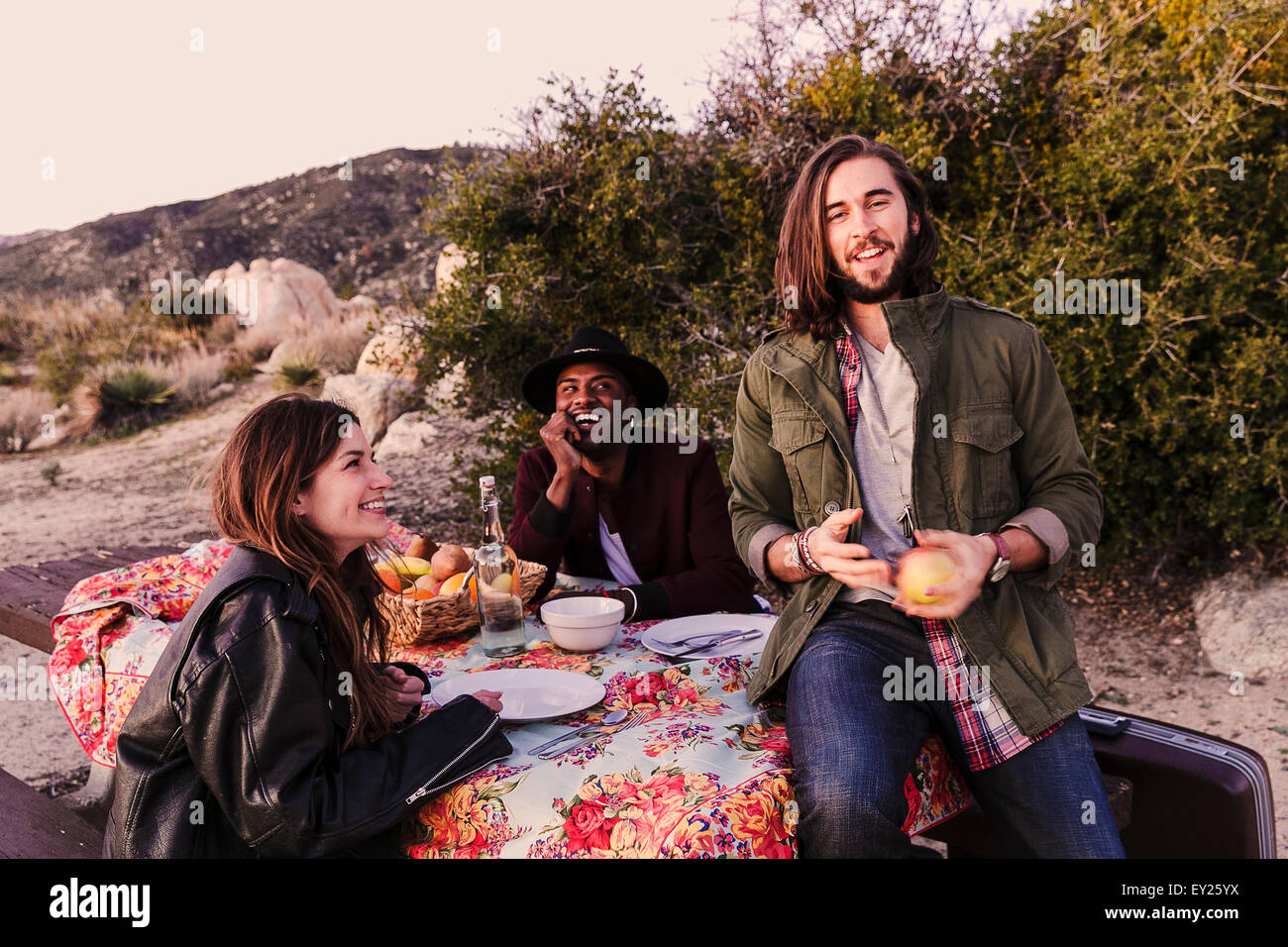 Drei Erwachsene Freunde mit Picknick in der Wüste, Los Angeles, Kalifornien, USA Stockfoto