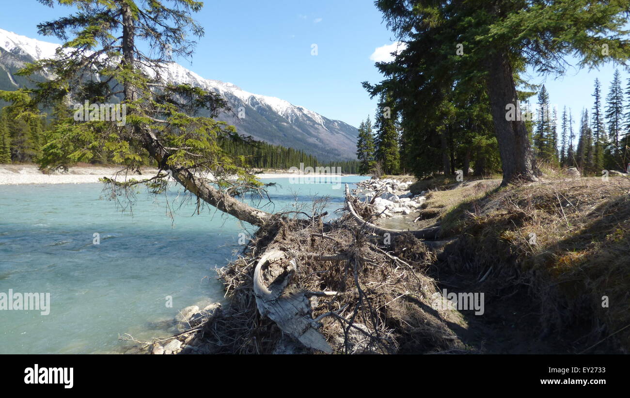 Kootenay-River, Britisch-Kolumbien Stockfoto