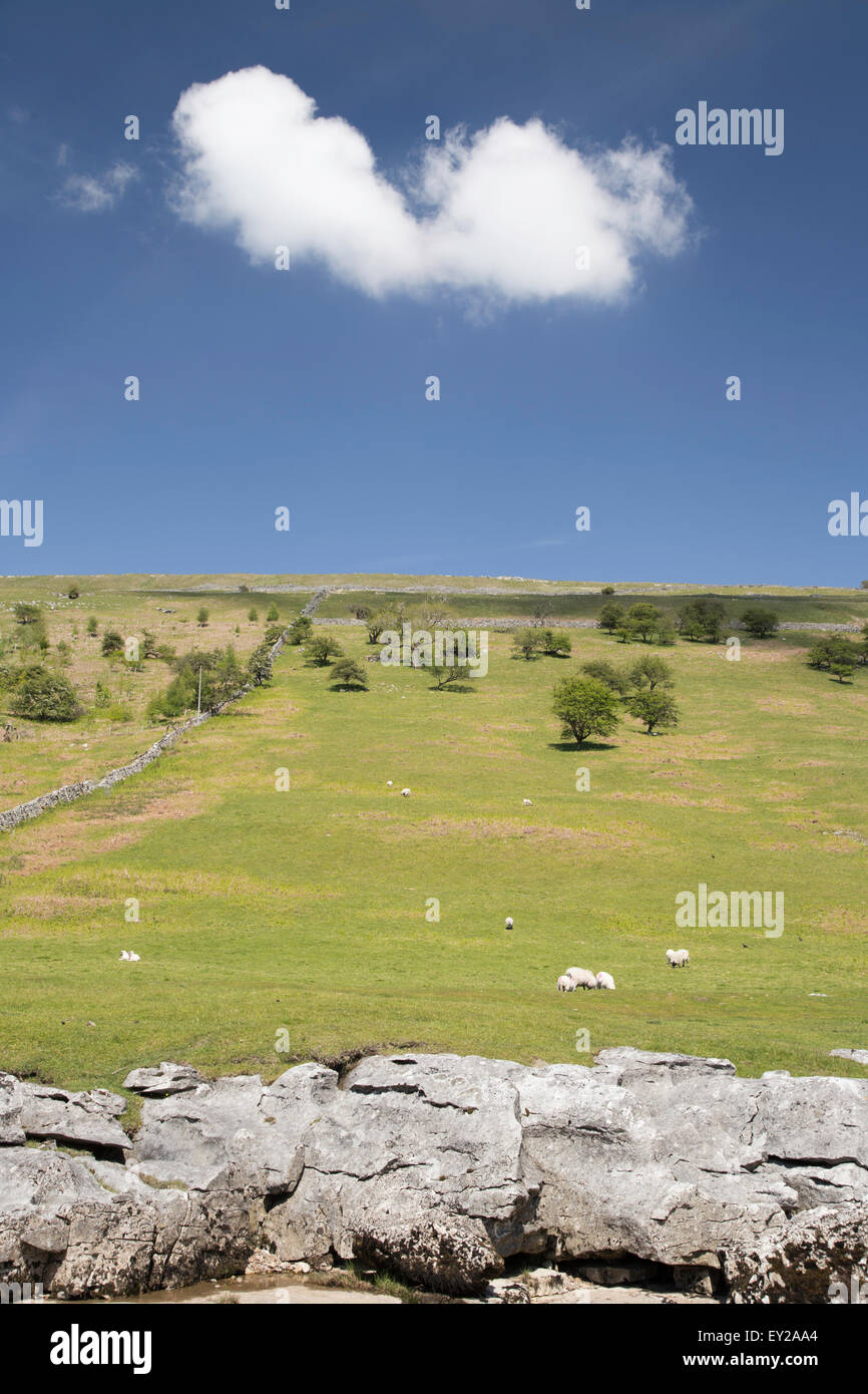Kalkstein Pflaster, Fjällflanken und blauem Himmel, obere Wharfdale "Yorkshire Dales National Park, North Yorkshire, England, UK Stockfoto