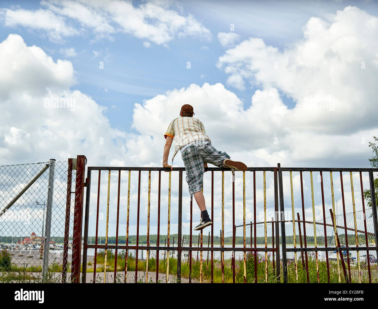 Junge Männchen klettert, Zaun, bedecktem Himmel auf Hintergrund Stockfoto