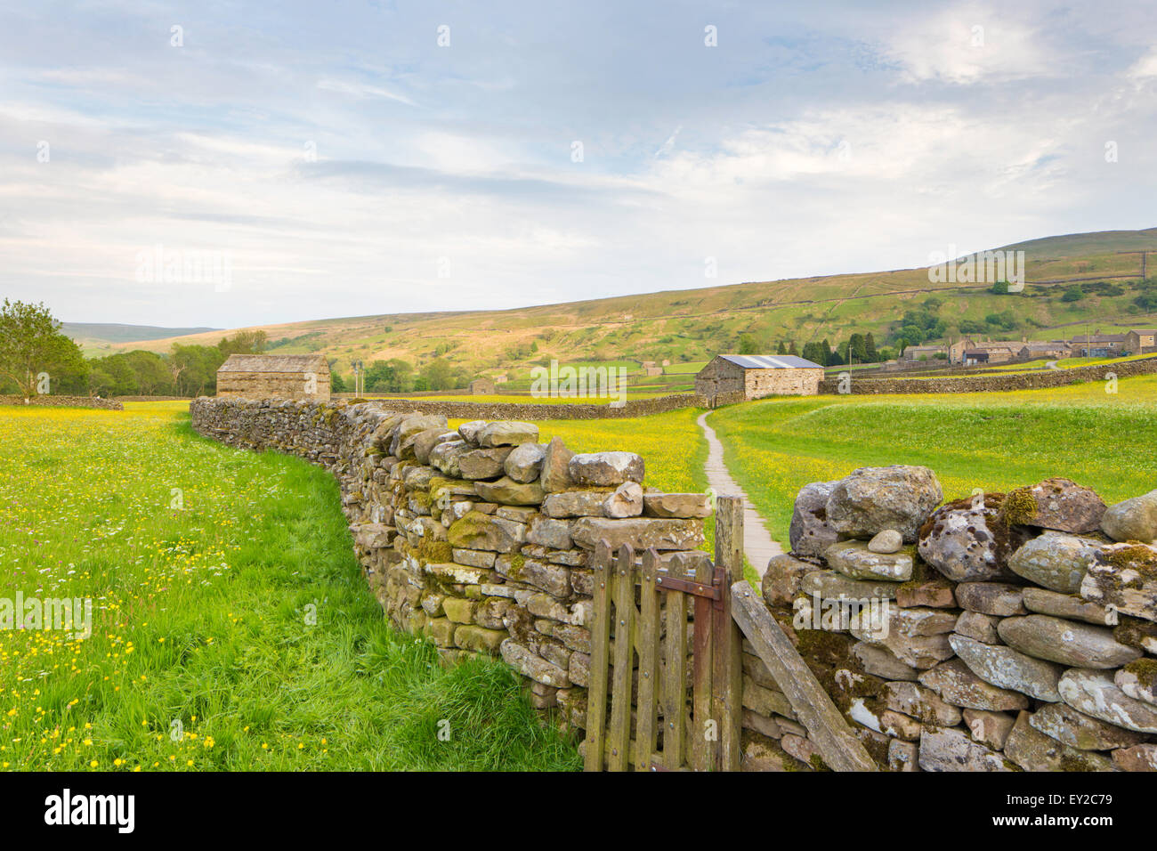 Wildblumenwiesen in der Nähe von den Dales Dorf Muker, Swaledale, Yorkshire Dales National Park, North Yorkshire, England, UK Stockfoto