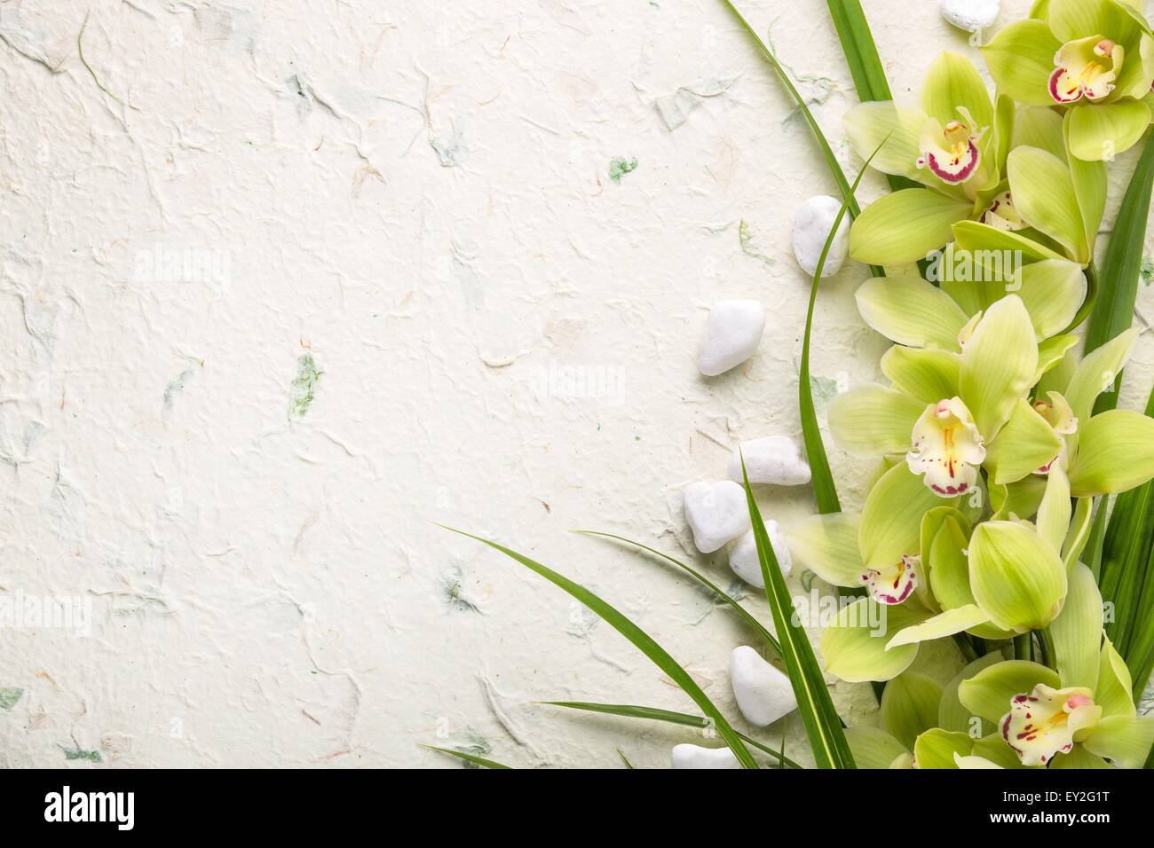 Wellness Stillleben mit blühenden Orchideen und Kieselsteinen. Stockfoto