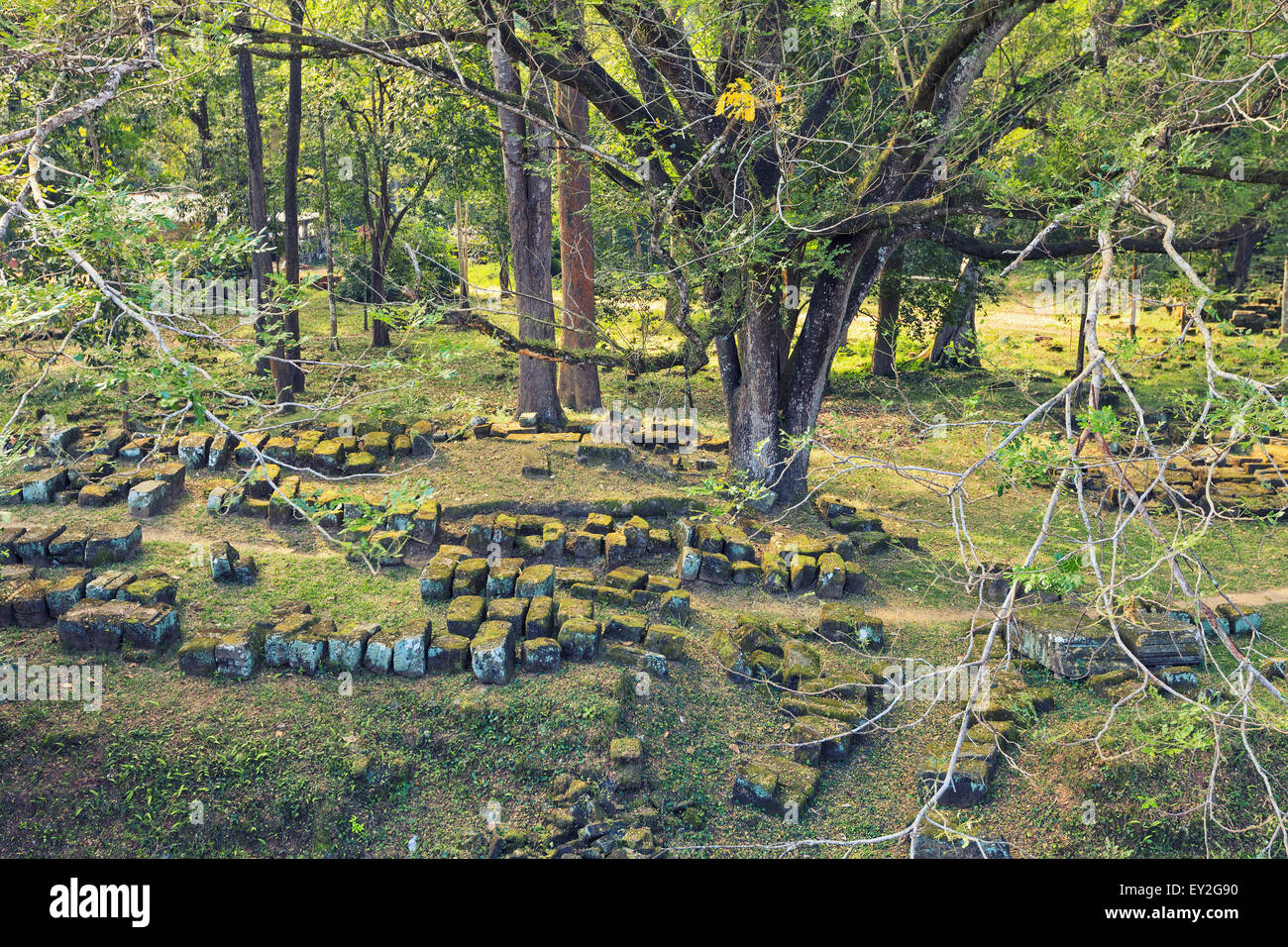 Überreste von Tempeln von Angkor, Kambodscha Stockfoto