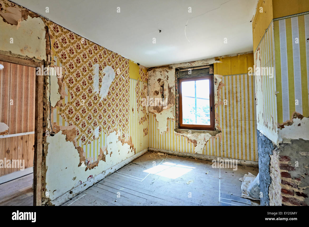 Verlassene Zimmer mit Vintage und Grunge strukturierte Tapeten vor dem Umbau. Stockfoto
