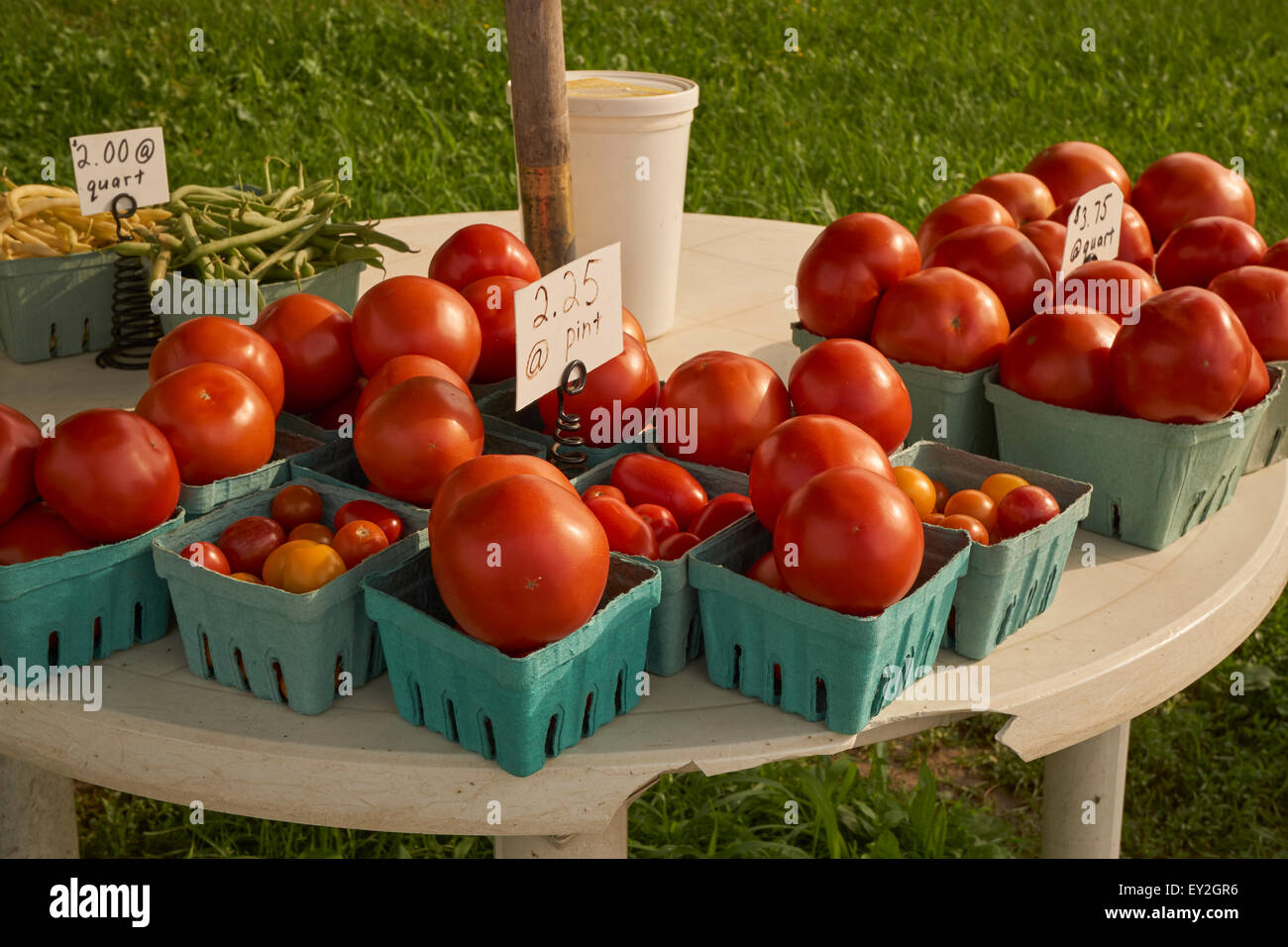 Am Straßenrand Tomaten Lieferanten, Lancaster County, Pennsylvania, USA Stockfoto