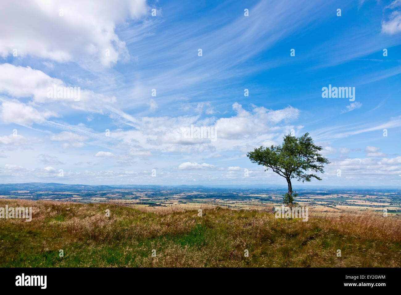Shropshire einfache Felder blauen Himmel Stockfoto