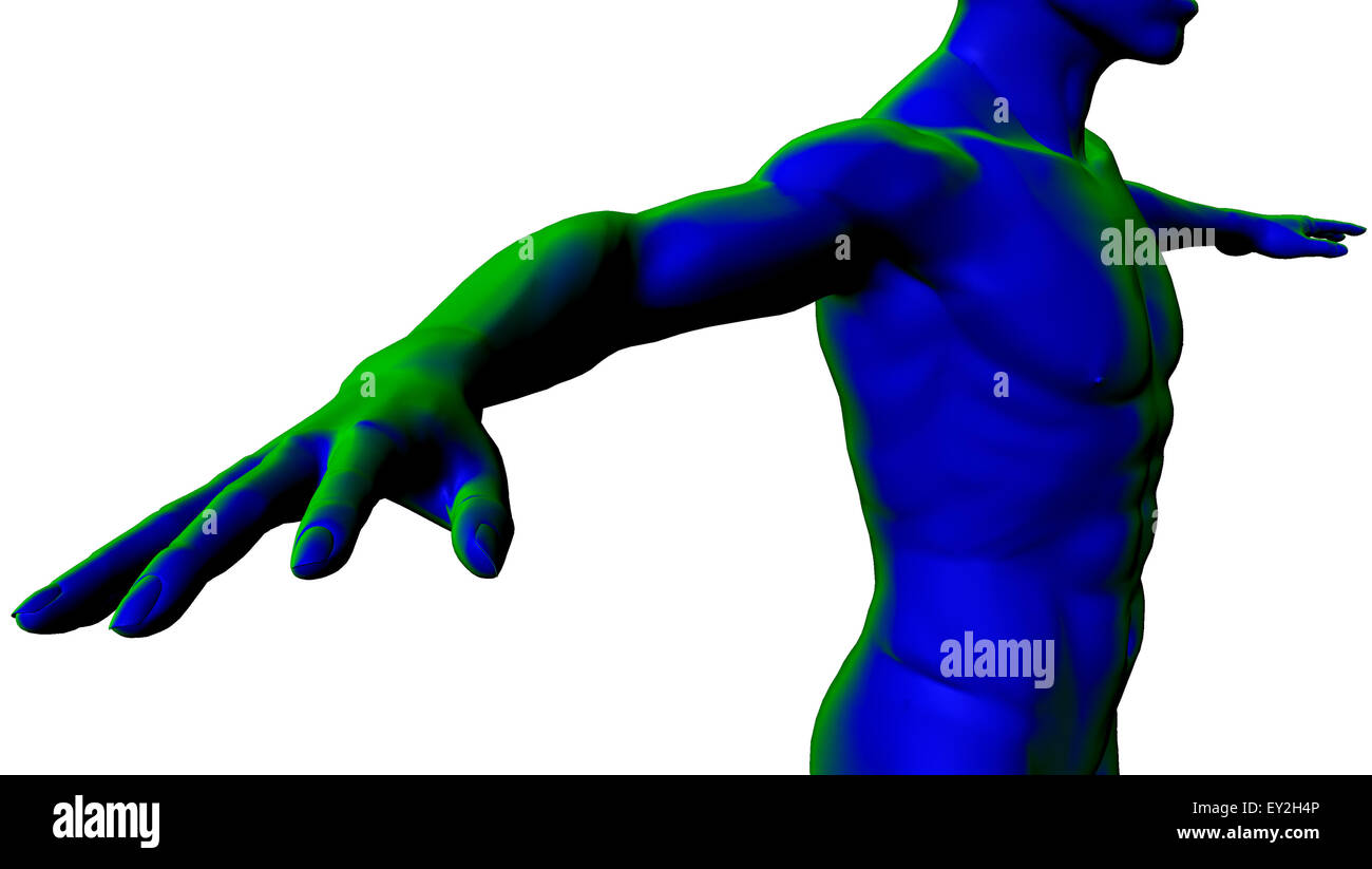 3D gerenderte Darstellung der männlichen Körperform Stockfoto