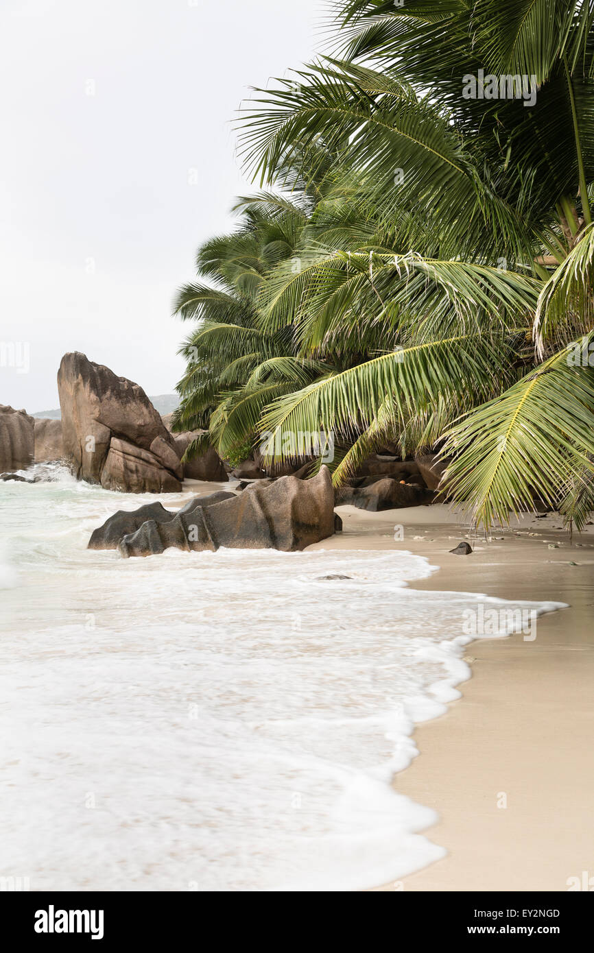 Schöner Strand Anse Patates, La Digue, Seychellen mit Granitfelsen und Palmen an einem bewölkten Tag Stockfoto