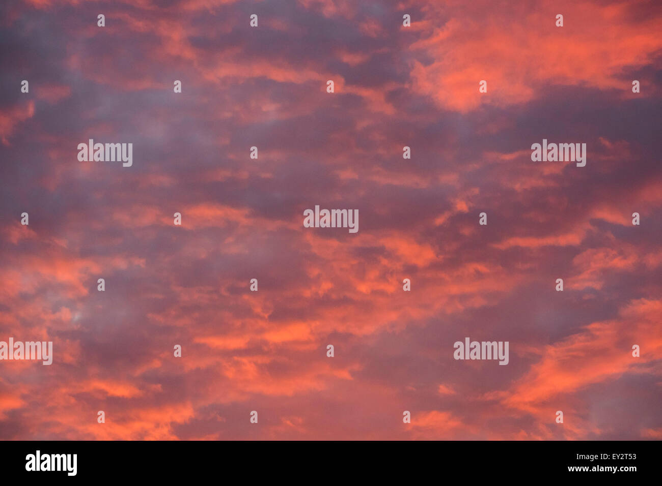 Bunte rosa und orange Wolken bei Sonnenuntergang Stockfoto